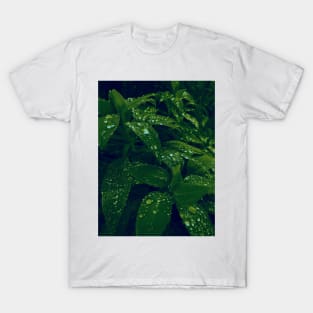 Dew drops on forest leaves gradient photo T-Shirt